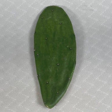 Opuntia Cochenillifera Pads (Prickly Pear / Nopales)